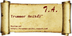 Trummer Anikó névjegykártya