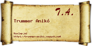 Trummer Anikó névjegykártya
