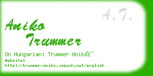 aniko trummer business card